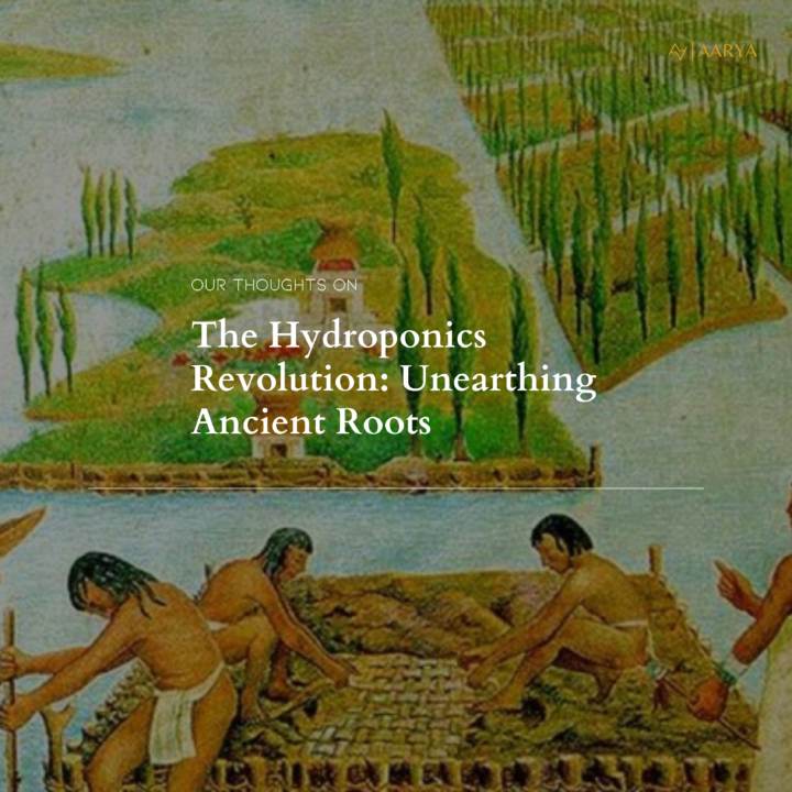 The Hydroponics Revolution: Unearthing Ancient Roots