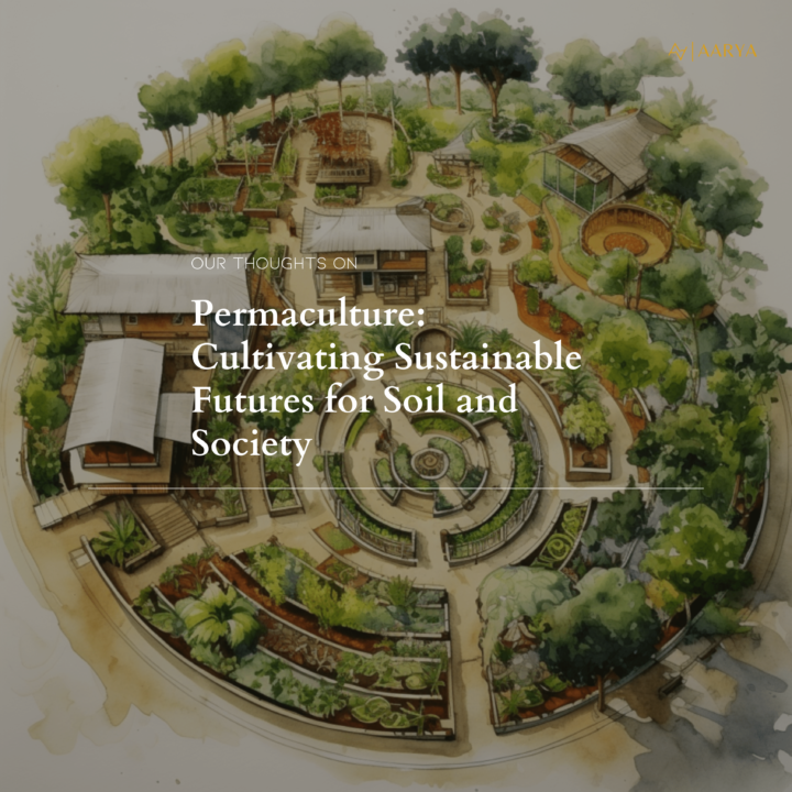 Permaculture: Cultivating Sustainable Futures for Soil and Society