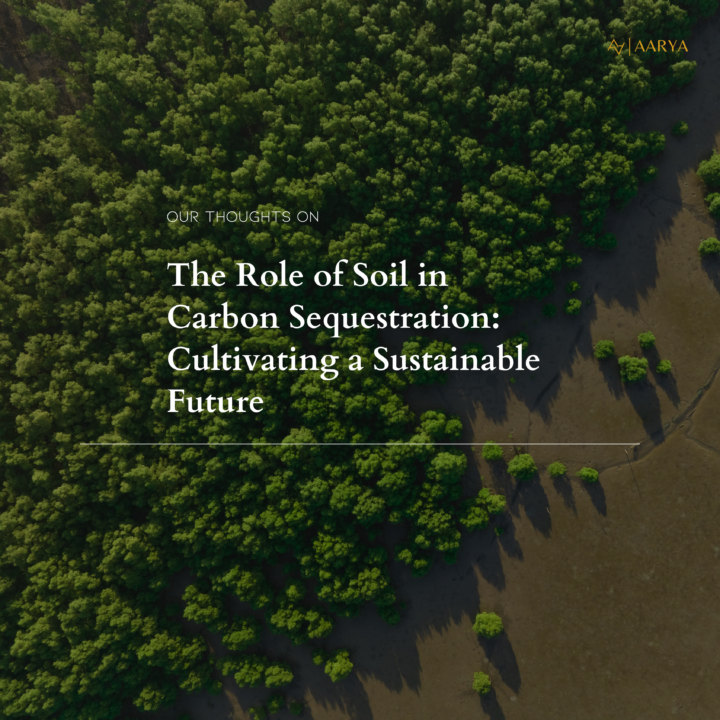 The Role of Soil in Carbon Sequestration: Cultivating a Sustainable Future