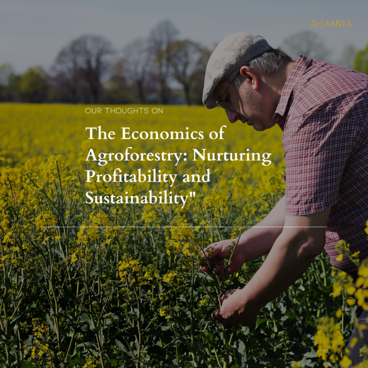 The Economics of Agroforestry: Nurturing Profitability and Sustainability