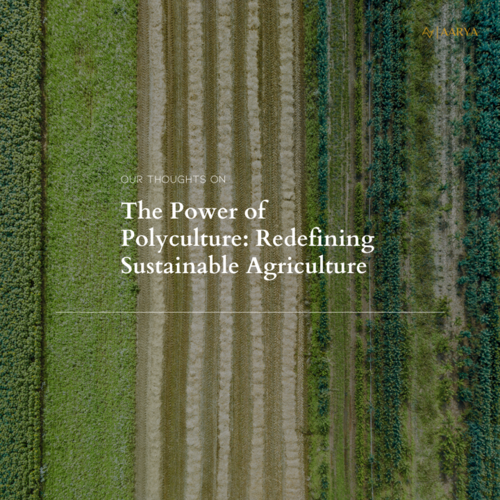 The Power of Polyculture: Redefining Sustainable Agriculture