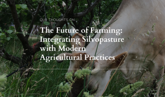 The Future of Farming: Integrating Silvopasture with Modern Agricultural Practices