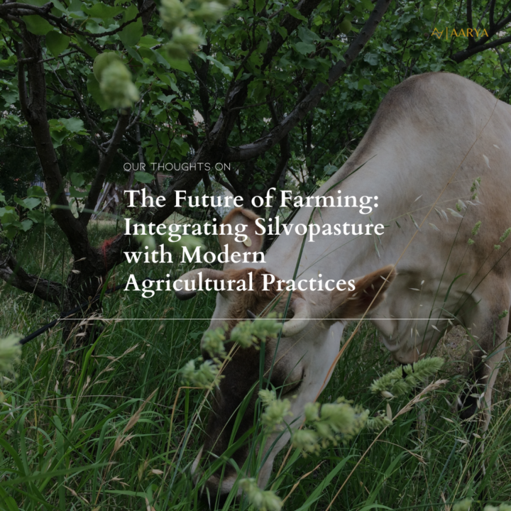 The Future of Farming: Integrating Silvopasture with Modern Agricultural Practices