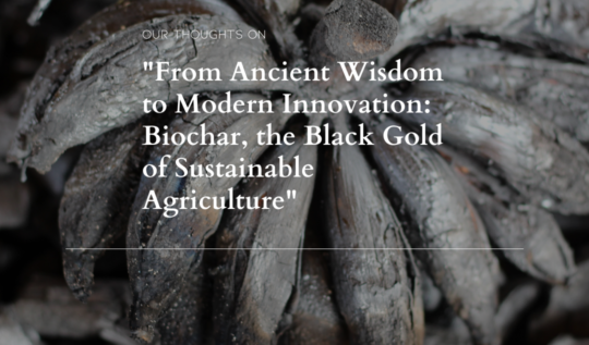 From Ancient Wisdom to Modern Innovation: Biochar, the Black Gold of Sustainable Agriculture