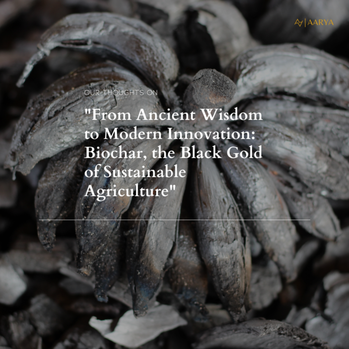 From Ancient Wisdom to Modern Innovation: Biochar, the Black Gold of Sustainable Agriculture